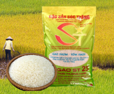 Mua gạo ST25 (gạo ngon nhất thế giới năm 2019) ở đâu?